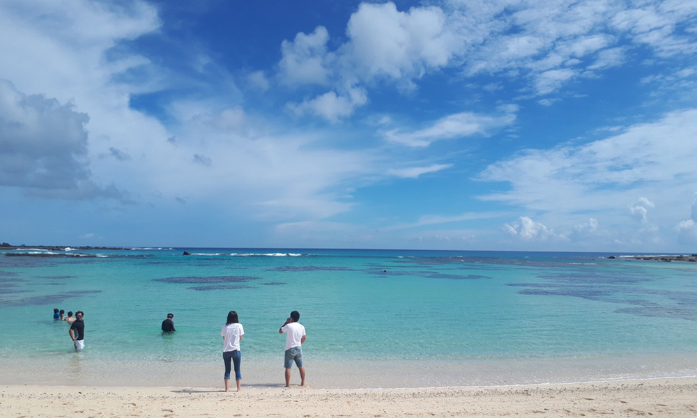 チームワークを活かした作業